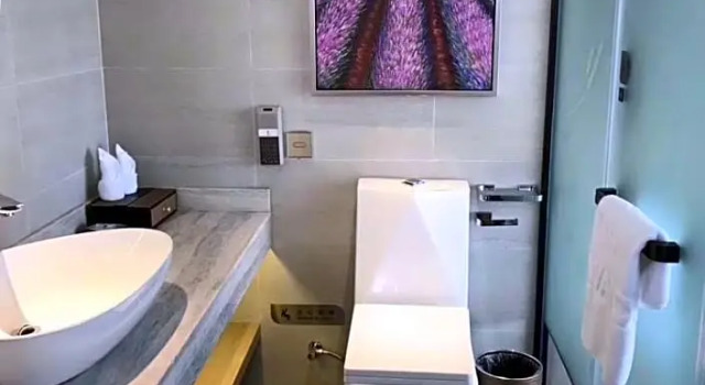 Люкс Lavande Hotel Guangzhou Chepi Subway Station