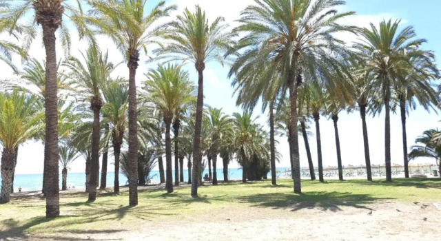 Апартаменты с 2 комнатами Apartment Pool Sea View Bajondillo Torremolinos