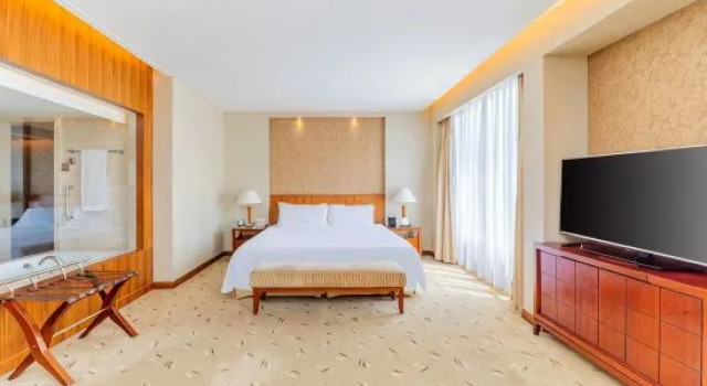 Двухместный номер Deluxe Hotel Paris Pan-Island