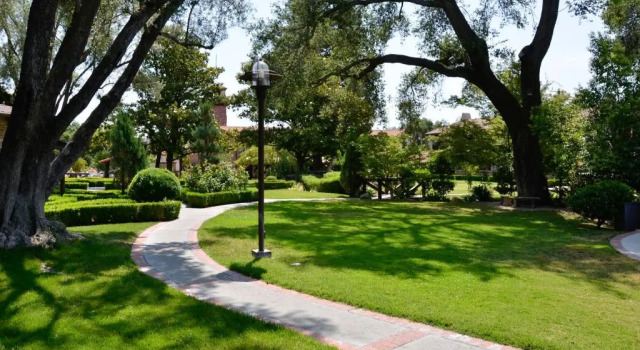 Четырёхместный номер Standard Paso Robles Inn