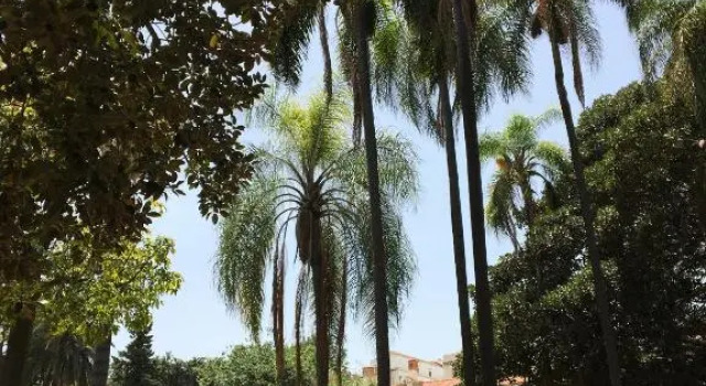 Casa Rosa
