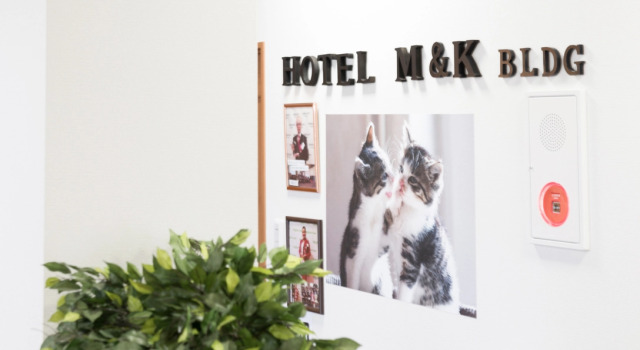 OYO 559 Hotel M & K, Book Hotel Ishinomaki 