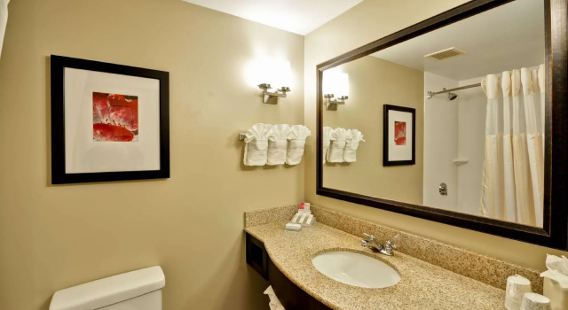 Четырёхместный полулюкс Hilton Garden Inn Tampa North