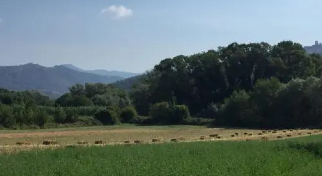 B&B La Nonnina del Cilento