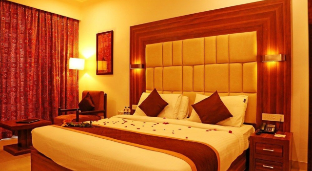 Номер Deluxe Shree Ram International