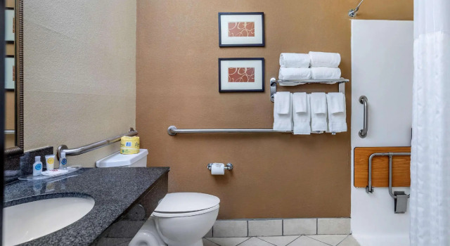 Четырёхместный люкс Comfort Suites Ennis