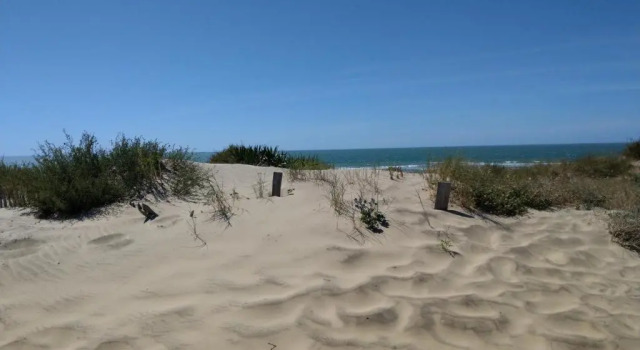 Апартаменты Joussac Côté Plage - Devant locéan