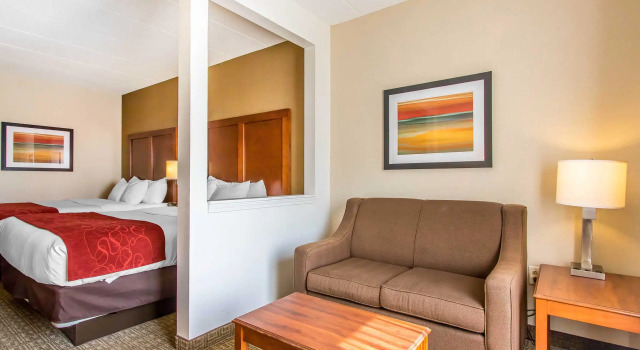 Четырёхместный люкс Comfort Suites Richmond
