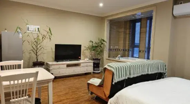 Люкс с видом на горы Changchun Light Luxury Banshan Hot Spring Homestay