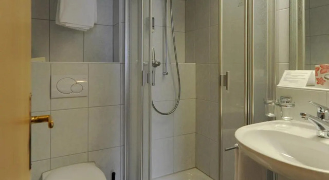 Одноместный номер Standard с видом на горы Hotel Dischma