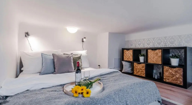 Студия Charming Apartments Prague by Michal&Friends