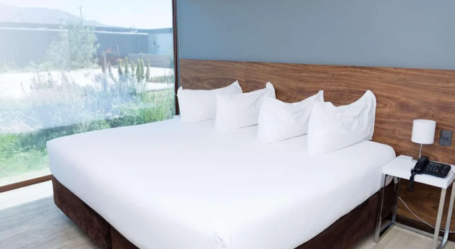 Standard Double room Park Inn by Radisson Los Olivos de Vallenar