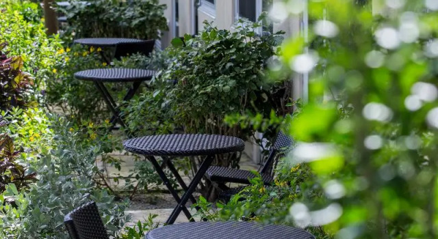 Двухместный номер Standard Ports of Call Resort