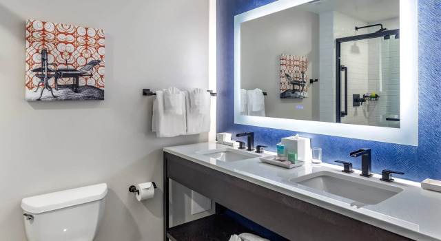 Двухместный люкс Hilton Vacation Club Hotel Blake Chicago