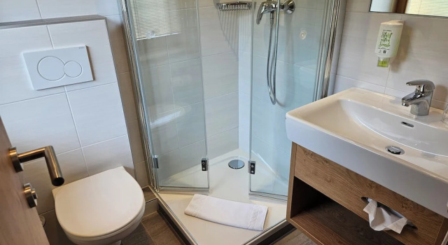 Номер Standard Dei Hotel Schönblick