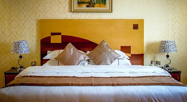 Полулюкс Standard Renz Hotel