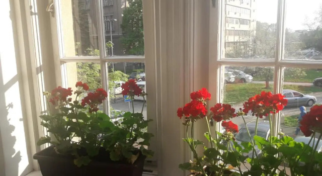 Апартаменты Apartment Hana Lux