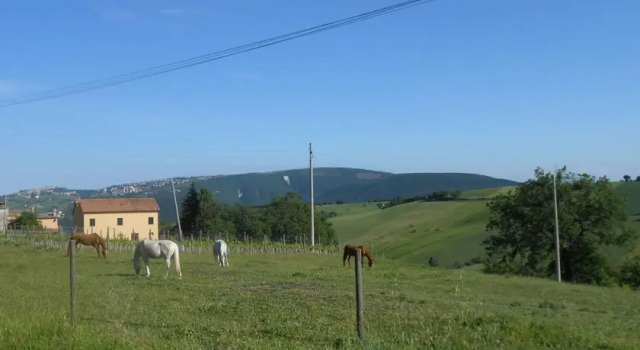 Ziamelia, Rezervovat Hotel Cingoli 