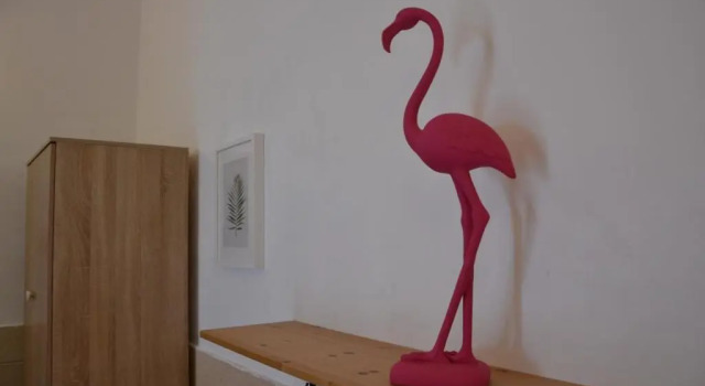 Casa Flamingo