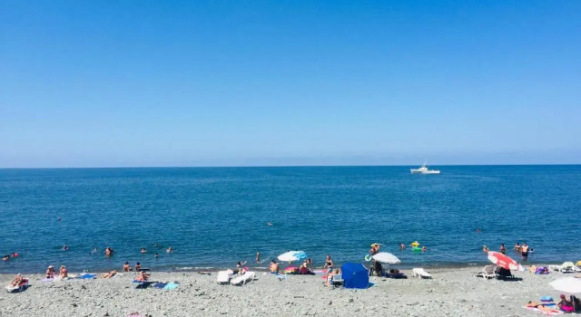 Номер Standard Summer Story