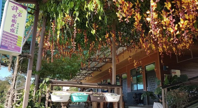 Xu Jia Chayuan B&B, Prenota Bed & breakfast Meishan Chiayi County