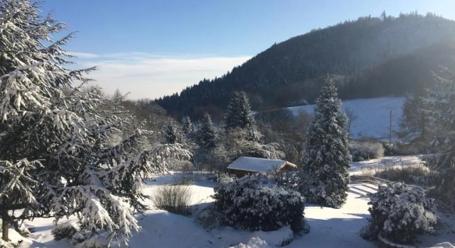 Апартаменты Ferienwohnung am Donnersberg