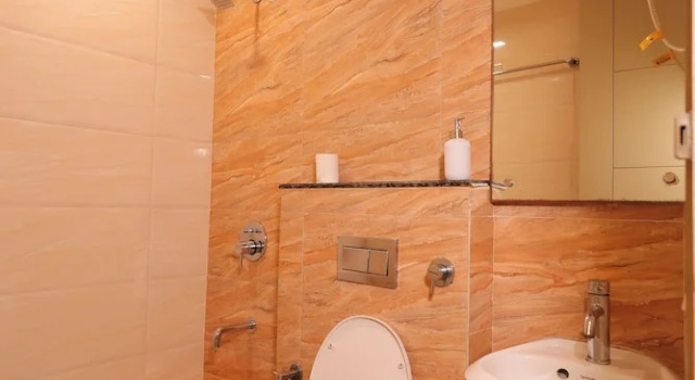 Номер Deluxe Palace inn