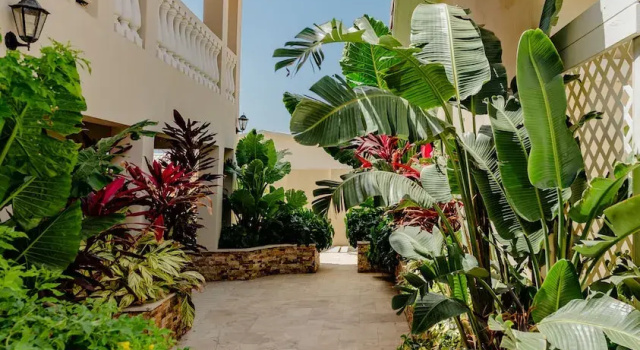 Апартаменты c 1 комнатой Charming 1-bedroom Apartment 2 km From Eagle Beach