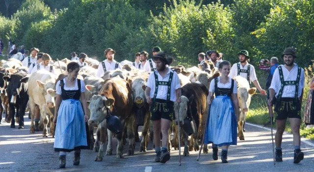 Апартаменты Fewo "allgäuglück" Oberstaufen