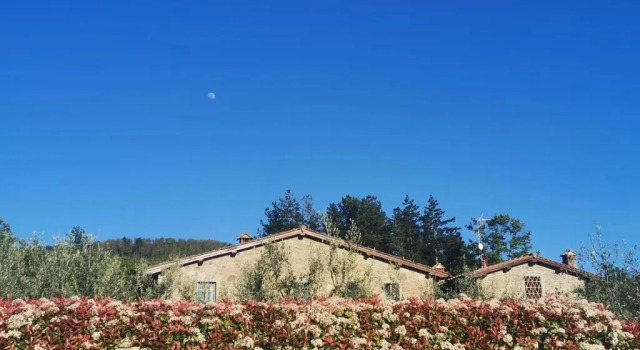 Appartamento 1 camera da letto Il Cerro