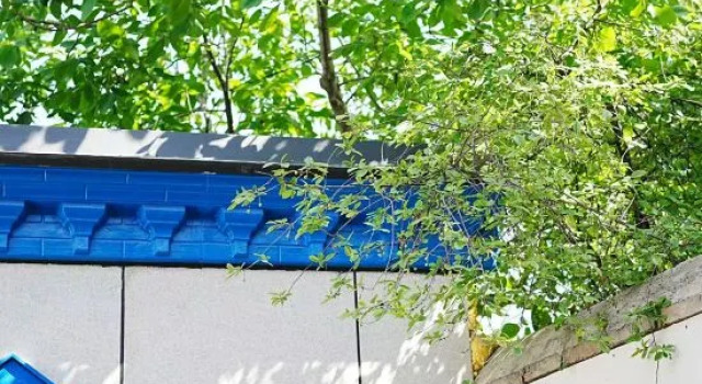 Jing Li Homestay, Book Hotel Yining Xinjiang