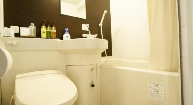 Одноместный номер Compact HOTEL LiVEMAX Yokohama Motomachi Ekimae