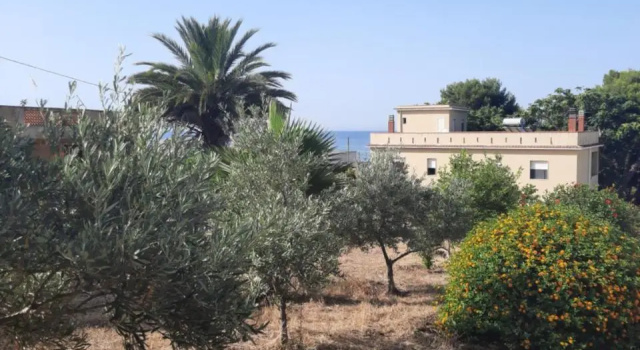 Mediterraneo