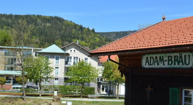 Одноместный номер Standard Wellness- und Bierhotel Adam Bräu