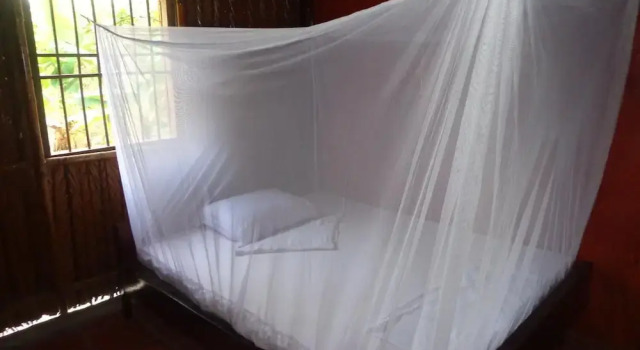 Phuong Thao Homestay, Book Guesthouse Hotels in Long Ho with Parking, Parking