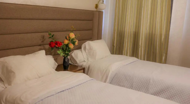 Şehir manzaralı Lüks çift kişilik oda Hôtel Des Lilas