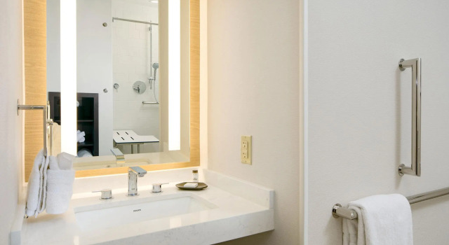 Двухместный номер Standard Sheraton Detroit Metro Airport