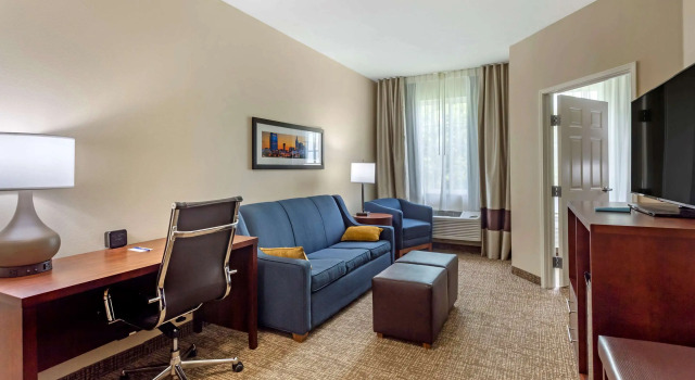 Двухместный люкс Comfort Suites Clarksville near Governors Square Mall