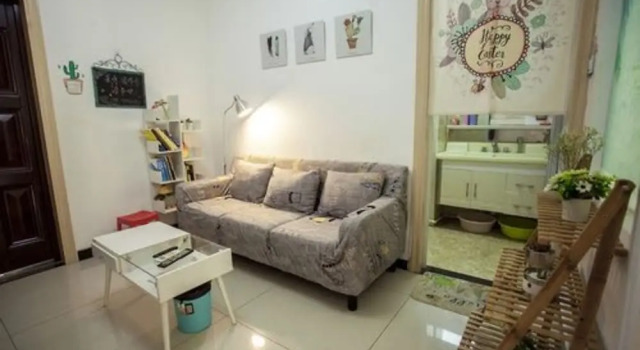 Xi'an kivi apartment