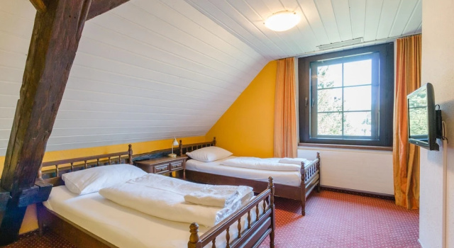 Двухместный номер Economy Hotel Bären