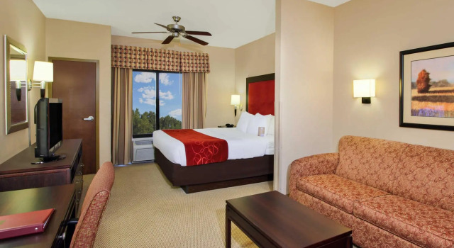 Люкс c 1 комнатой Comfort Suites DFW N-Grapevine