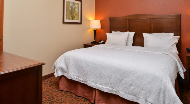Hampton Inn Idaho Falls/Airport