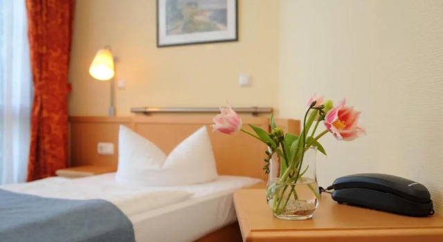 Одноместный номер Standard Hotel Godewind