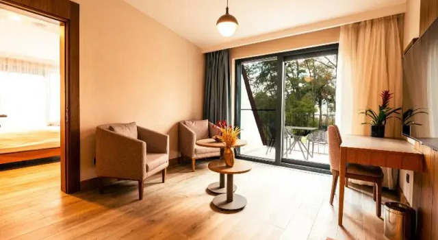 Номер Standard Wellwood Otel