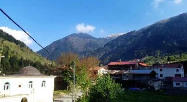 Talipoğlu Apart