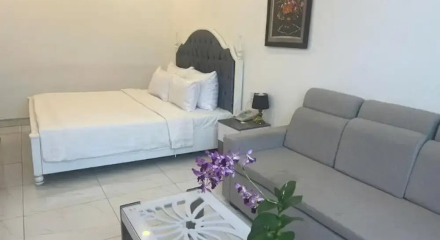 Двухместный номер Deluxe с видом на город White Diamond Airport Hotel