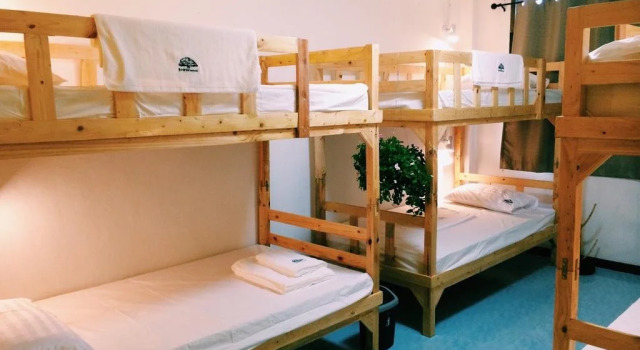 Tree Hostel Bangkok