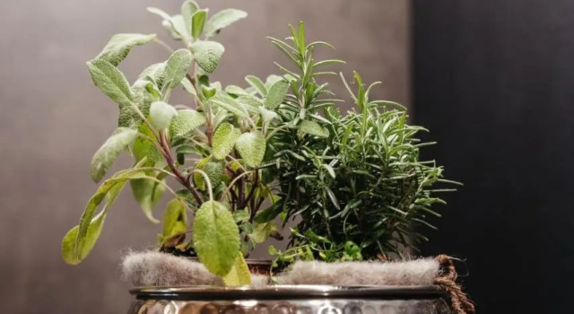 Alpine Chalet Sauter, Забронировать Шале Коттеджи Мареббе, Коттедж