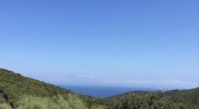 Двухместный номер Standard с видом на море Agriturismo Lu Stabbiacciu