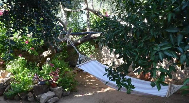 Коттедж Villa Physis